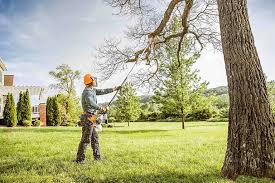 Best Commercial Tree Services  in Sherrelwood, CO